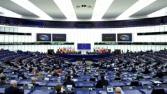 Europski parlament