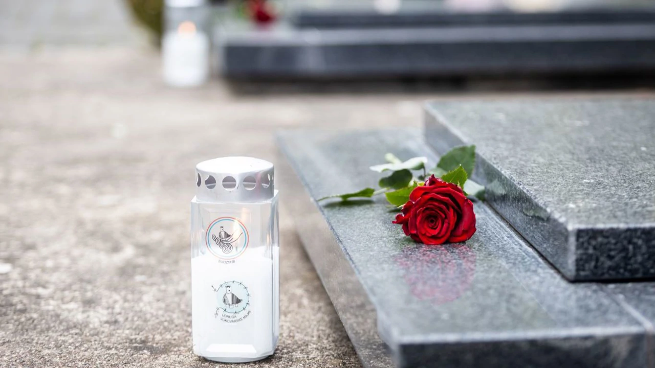 Ruža Vukovarskih majki na Memorijalnom groblju