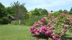 Petak, 7. studenog na Prvom, Foto: Manjinski mozaik/HRT