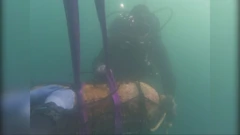 Šibenik: Policijski ronioci iz mora izvlače dvije avionske bombe, Foto: HTV/HRT