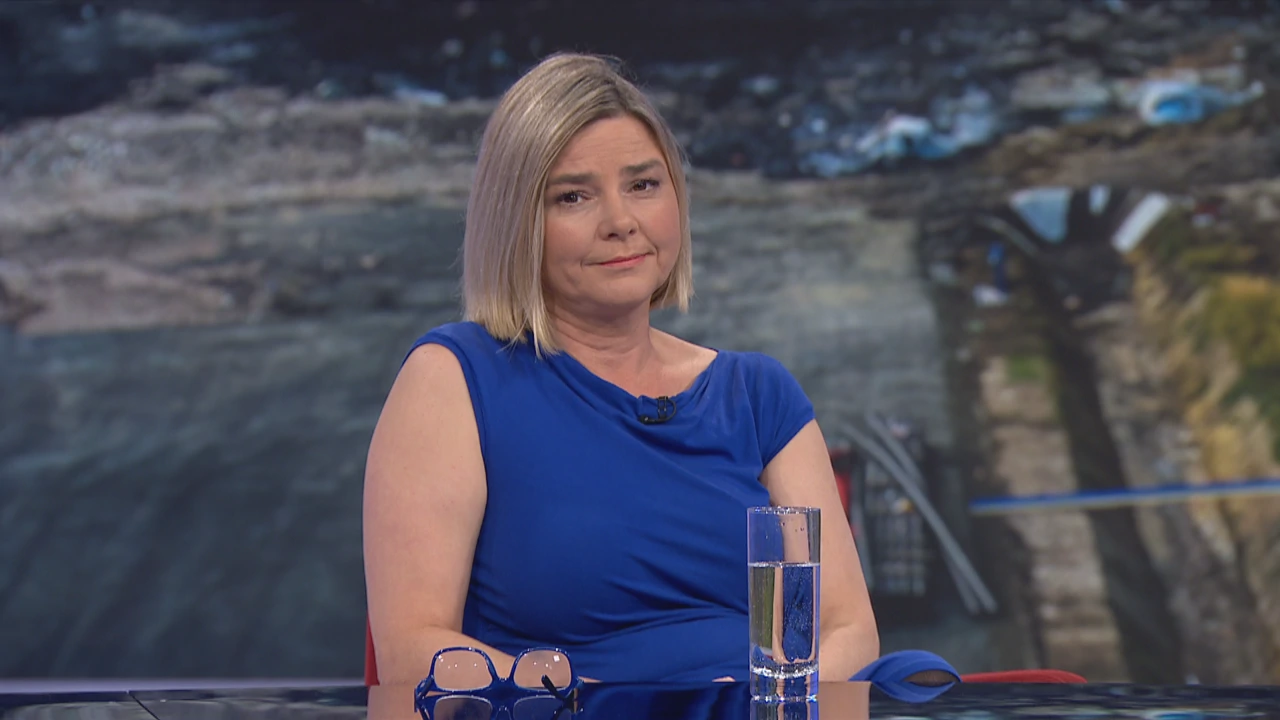 Sandra Benčić, predsjednica saborskog Odbora za zaštitu okoliša i prirode, Foto: HTV/HRT