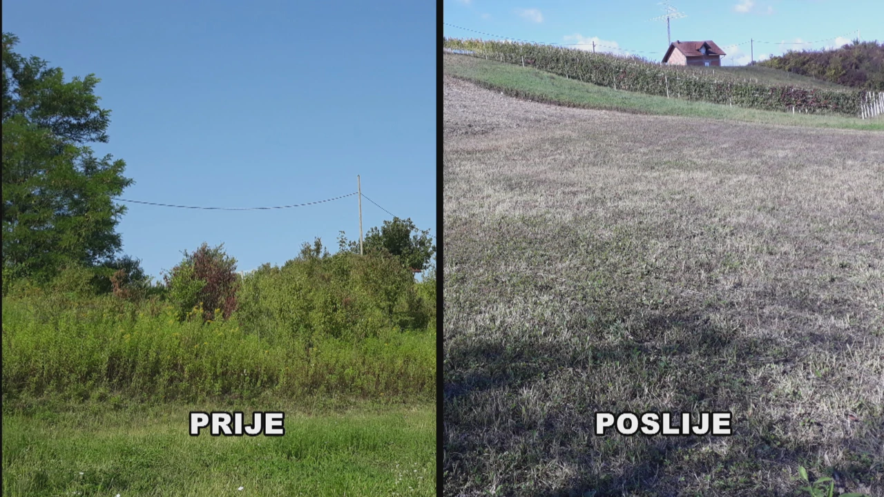 Prije i poslije 