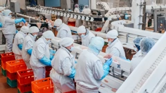 Ultraprerađena hrana među uzrocima 2,7 milijuna preuranjenih smrti u Europi