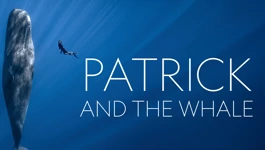 Ponedjeljak, 15. prosinca na Drugom