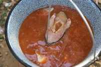 Fišijada u Belom Manastiru, Foto: OBŽ/-