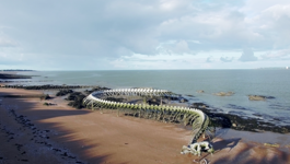 Utorak, 25. studenoga na Drugom