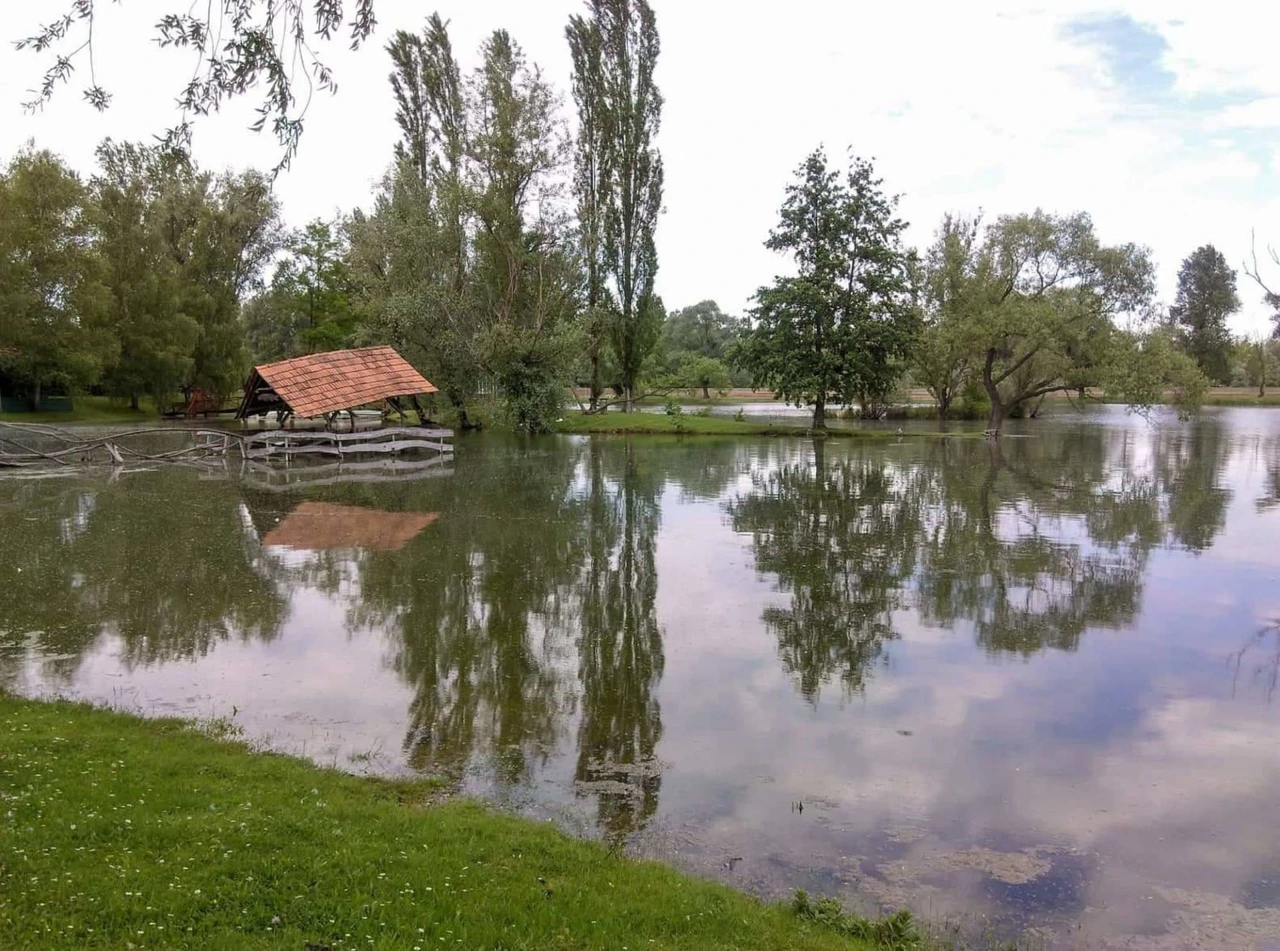 (Foto: Slavica Štefić)