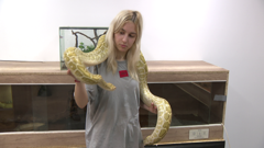 Otvoren Egzo u Puli, Foto: HRT/HRT