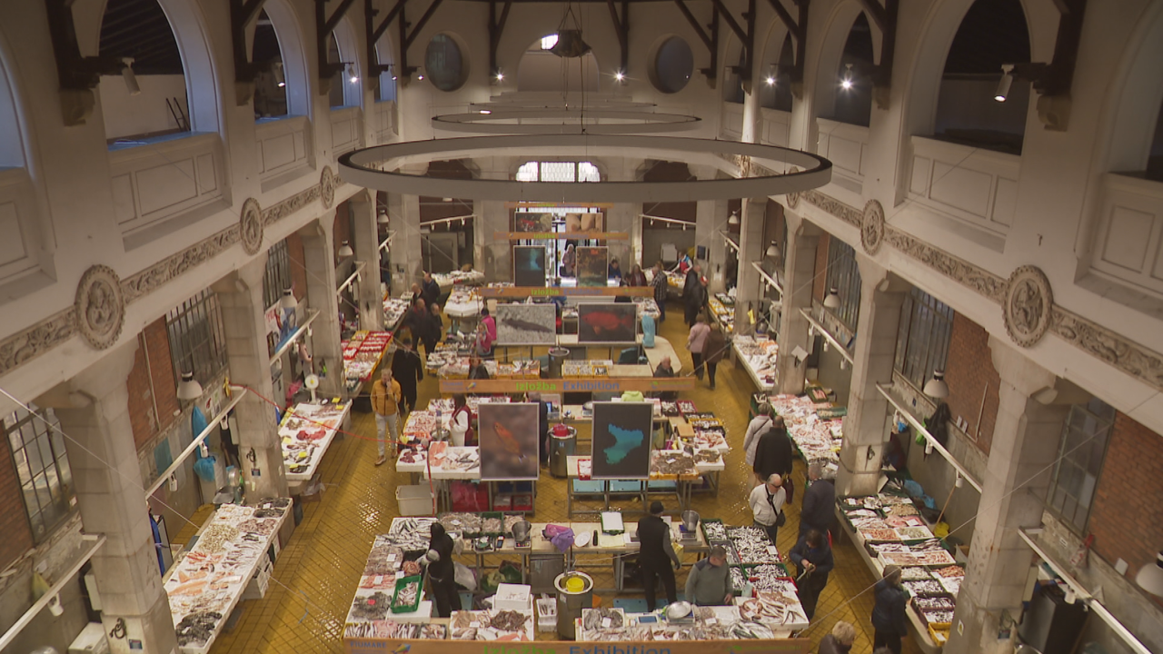 Nedjelja, 21. prosinca na Prvom, Foto: Rijeka: More/HRT