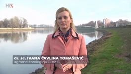 Ivana Čavlina Tomašević