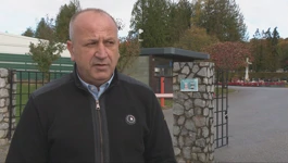 Mumin Hodžić