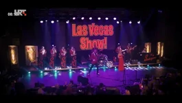 Las Vegas Show 