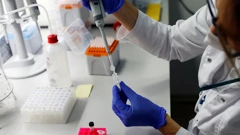 Brazilska P1 varijanta koronavirusa mutira