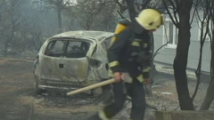 Požar kod Grebaštice, Foto: HTV/HRT