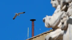 Dimni signali za konklave spremni: Vatikan postavio dimnjak iznad Sikstinske kapele
