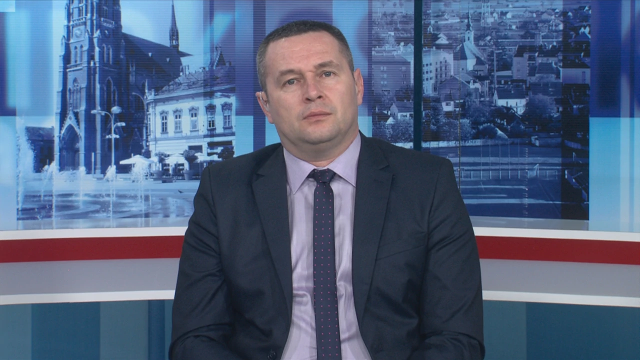 Mato Palić, ustavni stručnjak
