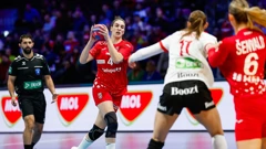 Dvoboj Hrvatske i Danske