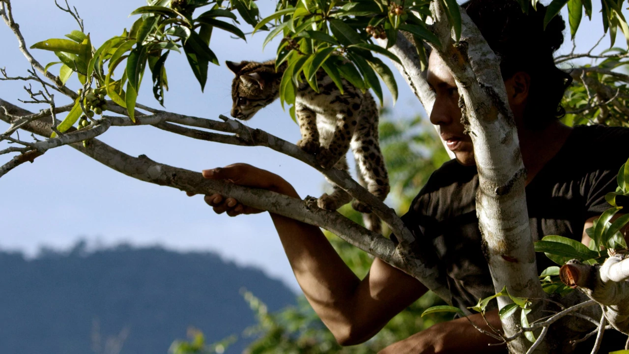 Ponedjeljak, 3. studenoga na Drugom, Foto: Margaj i ja/dokumentarni film