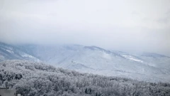 Sljeme/Arhiva