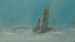 Periska
