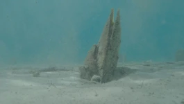 Periska