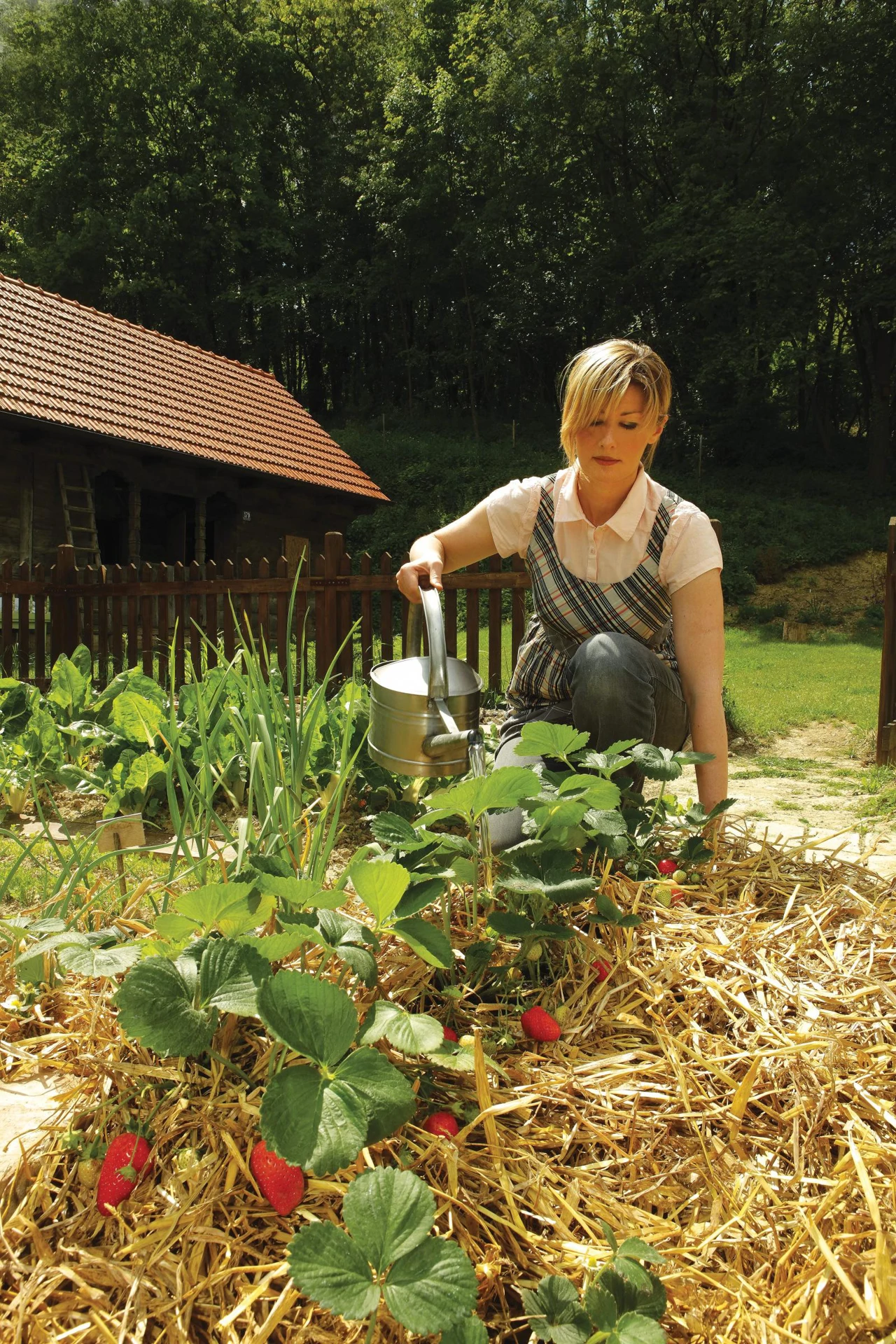 Subota, 14. kolovoza na Prvom , Foto: Vrtlarica /2. sezona