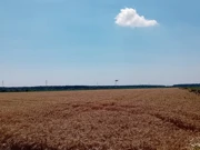 Sjetva dronom, Foto: OBŽ/Radio Osijek