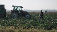 Nedjelja, 27. srpnja na Prvom, Foto: Pijaca, pazar, plac/dokumentarna serija
