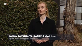 Ivana  Čavlina Tomašević