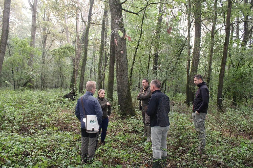 Interaktivna radionica projekta SUPERB održana u Osijeku