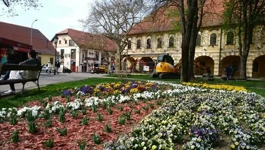Vinkovci