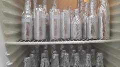 Pivo