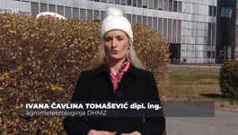 Ivana Čavlina Tomašević