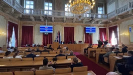 Županijska vijećnica