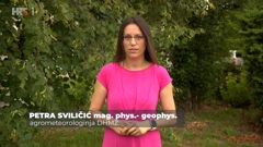 Petra Sviličić