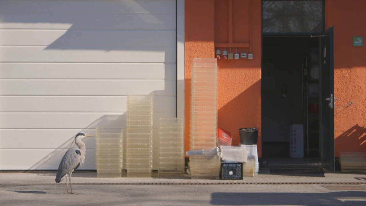 Subota, 21. ožujka na Prvom , Foto: Divlja ZOOna/dokumentarna serija 