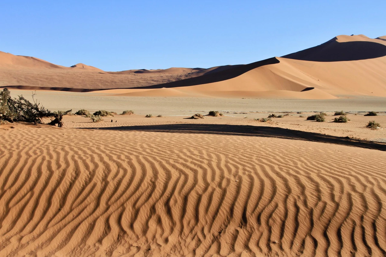 Ponedjeljak, 26. siječnja na Drugom , Foto: Čudesna priroda Namibije/dokumentarni film 
