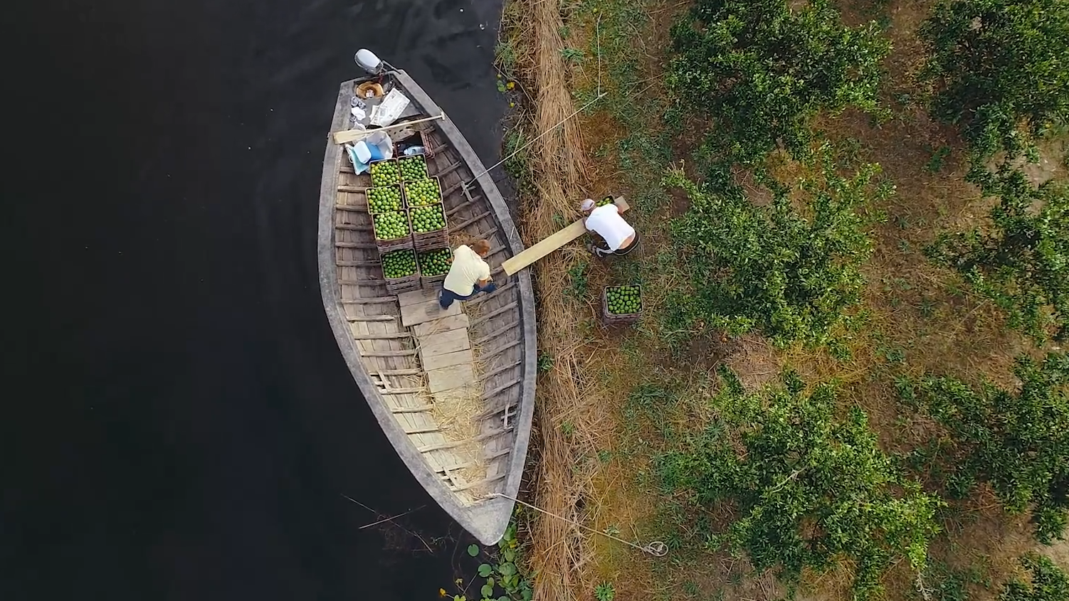Utorak, 4. veljače na Prvom