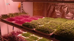 Vertikalna farma, Foto: Plodovi zemlje/HRT