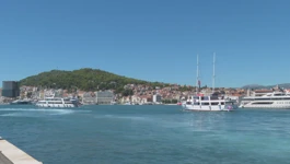 Brodovi