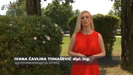 Ivana Čavlina Tomašević