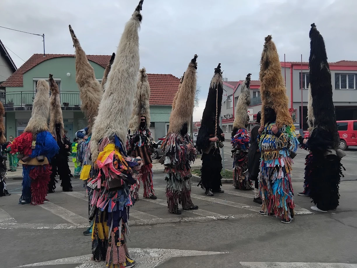 bušari, Foto: M. Kralj /HRT Radio Osijek 