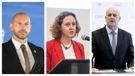 Damir Habijan, Nina Obuljen Koržinek, Ivica Kukavica 