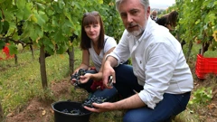 Vesna Vučemilović i Miroslav Škoro