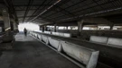 Pig farm