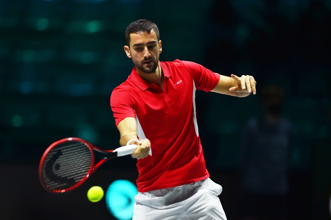 Marin Čilić, Foto: Massimo Pinca/REUTERS