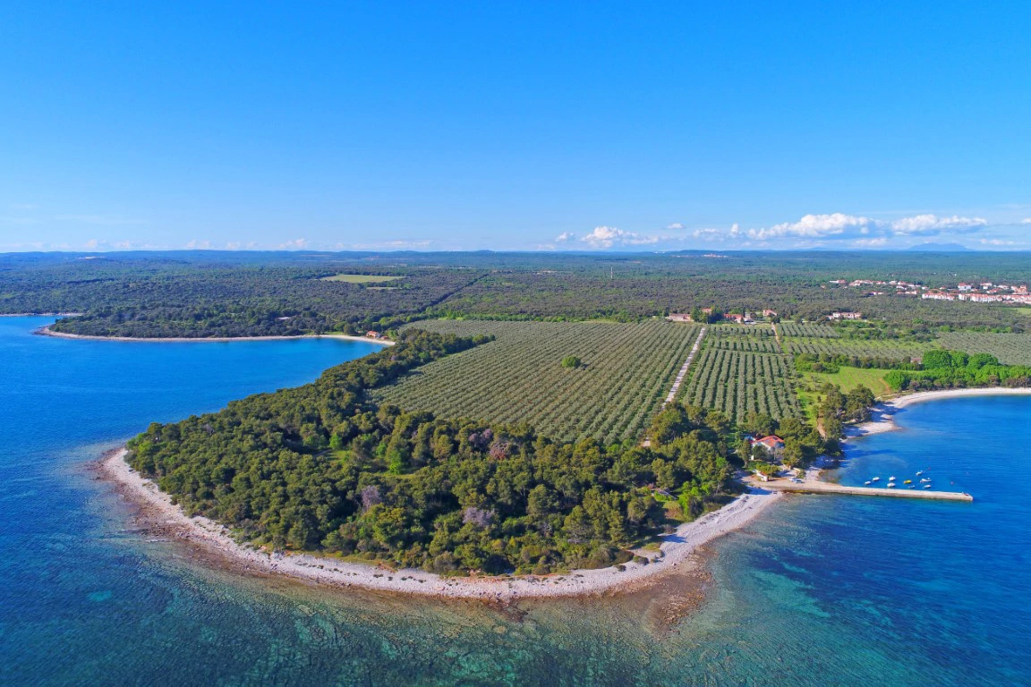 Obala Vodnjanštine, Foto: Danilo Dragosavac/ustupljena fotografija