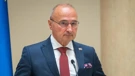 Gordan Grlić Radman