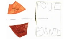 "Otvoreno polje čitanja"