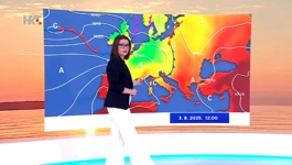 Tomislava Hojsak